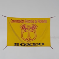 Comentarios y opiniones de Concentracion Deportiva de Pichincha