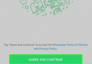 verify numbers on WhatsApp