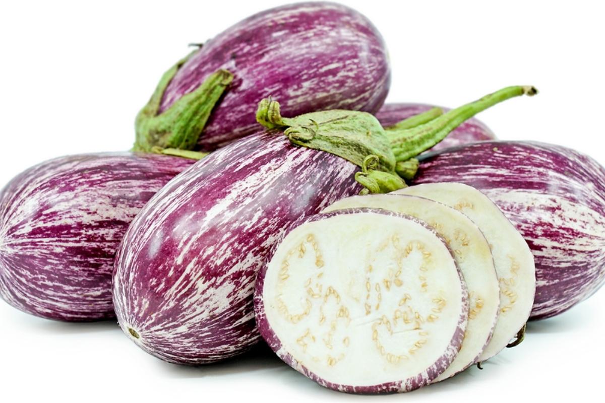 Graffiti/Zebra/Sicilian Eggplant
