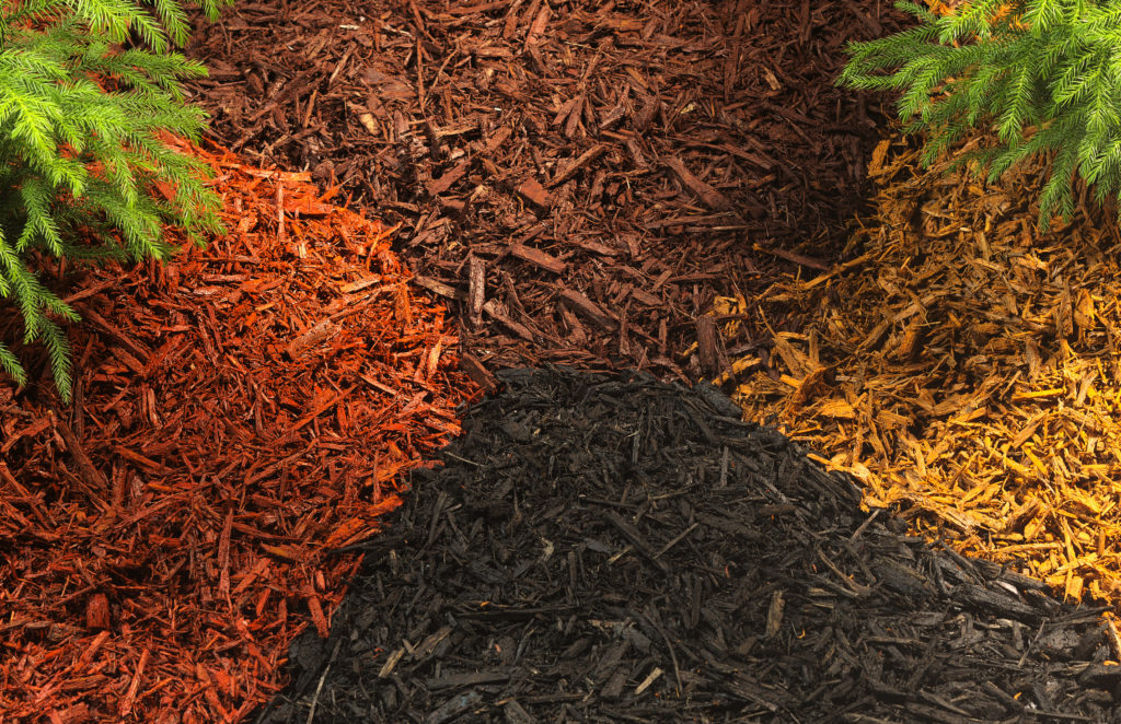 Dyed Mulch