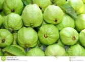 C:\Users\Mazhar Sayeed\Pictures\Guava fruits.png
