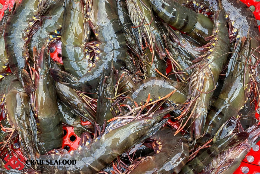 CỬA HÀNG BÁN TÔM SÚ TƯƠI SỐNG TẠI TP.HCM - Crab Seafood