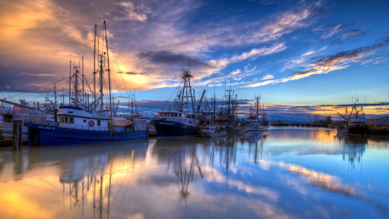 boats in the harbor.jpg