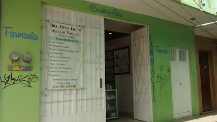 Farmacia El Patriarca Vicente Guerrero 122, Barrio De Lexio, 71269 Villa De Zaachila, Oax. Mexico