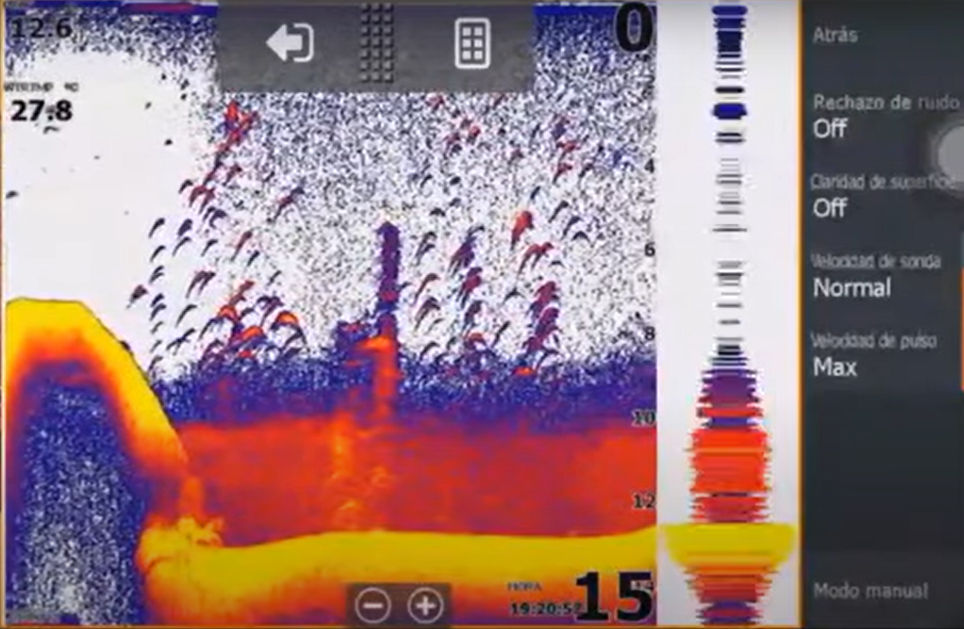 rechazo de ruido y claridad de superficie en sonda lowrance hds live