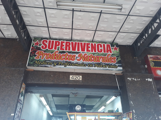 Supervivencia