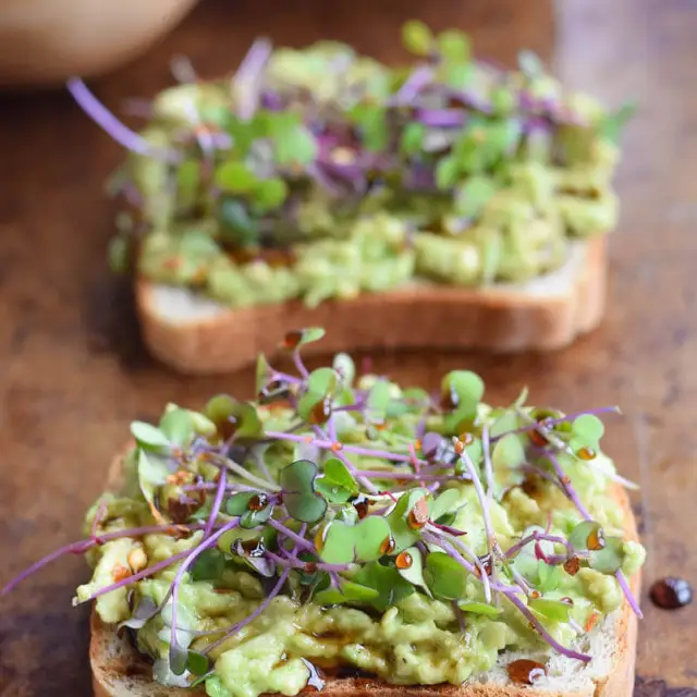 Avocado Toast with Microgreens