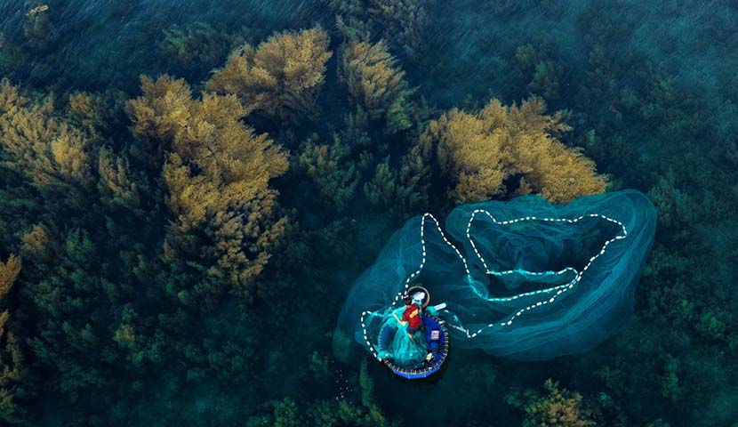 seaweed season in binh dinh