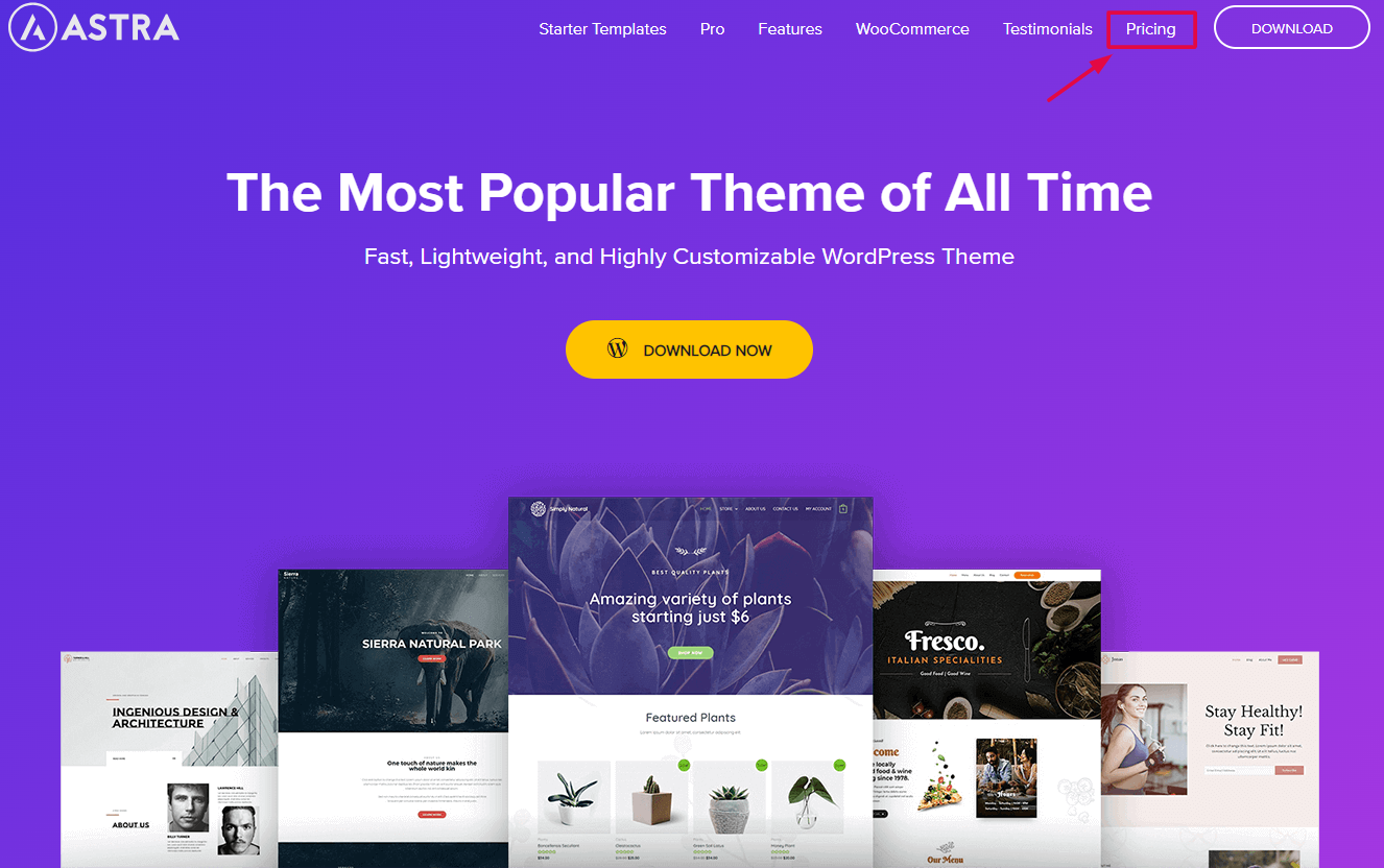 Astra Theme - Click On Pricing