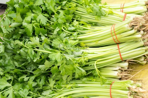 [?] Những Món Ăn Giúp Răng Trắng Sáng Tự Nhiên?