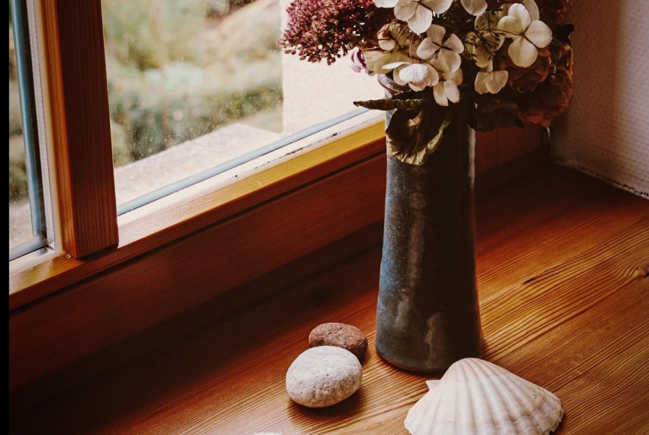 flowers and shells