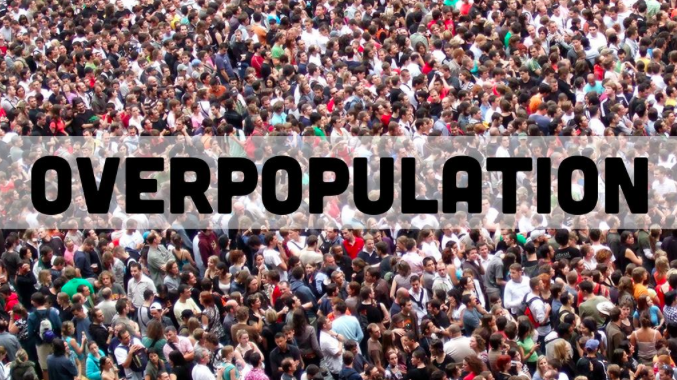 Image result for overpopulation