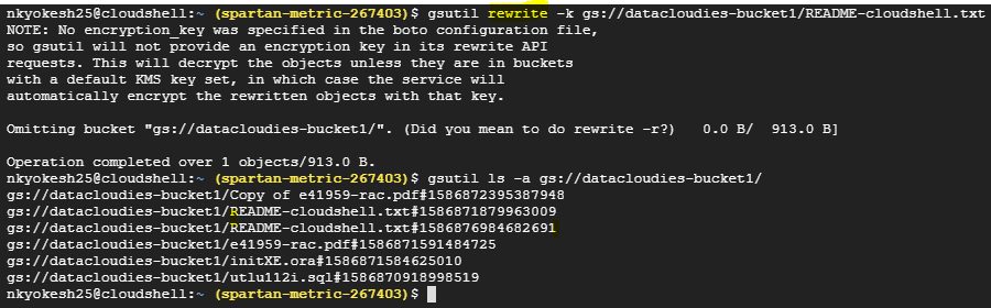 object versioning