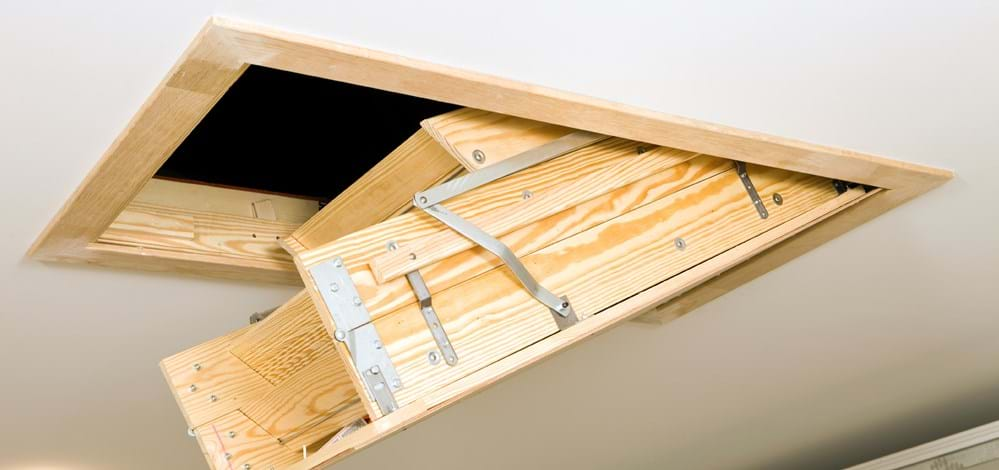 Attic Bugs, Insects, Pest: Prevention Tips for Attic Bugs