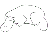 Image result for ORNITORRINCO dibujo para colorear