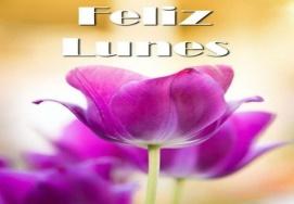80 Imágenes y Frases Gratis de Feliz Lunes | Imágenes Gratis