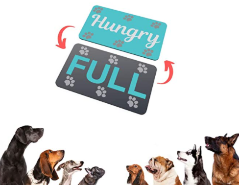 Did You Feed The Dog? Pet Reminder Magnet on Amazon (A Product Review)