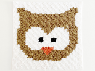 c2c owl square on white background