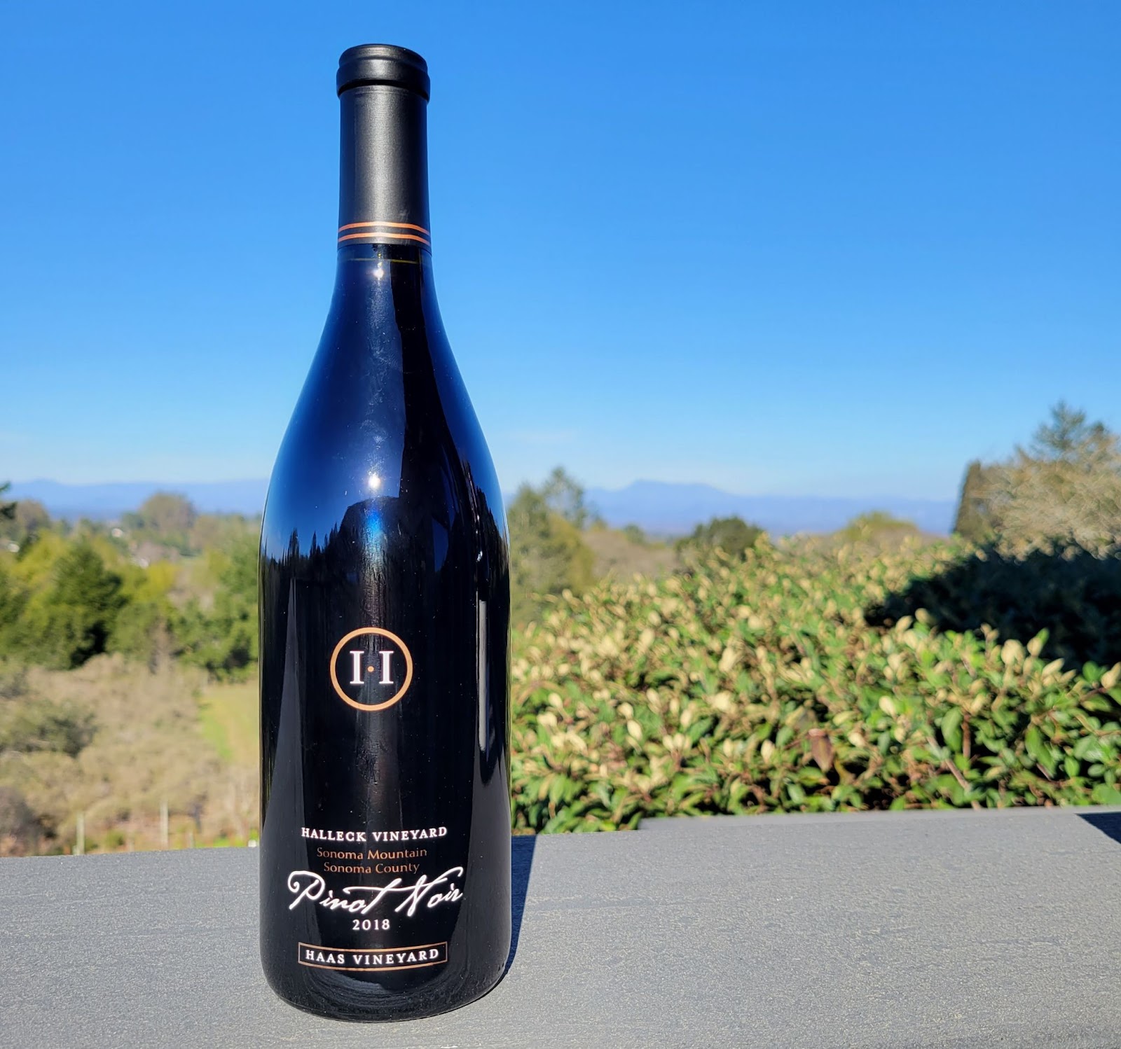 Halleck 2018 Haas Vineyard Pinot Noir is notable for its beautiful, gem-like color and slightly spicy, herbaceous flavor.