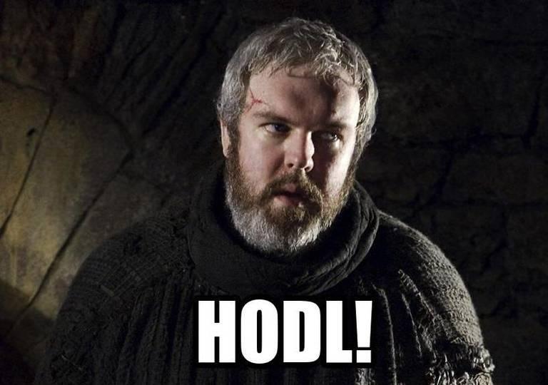 Hodl ходл