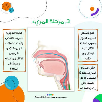 A picture containing bubble chart

התיאור נוצר באופן אוטומטי