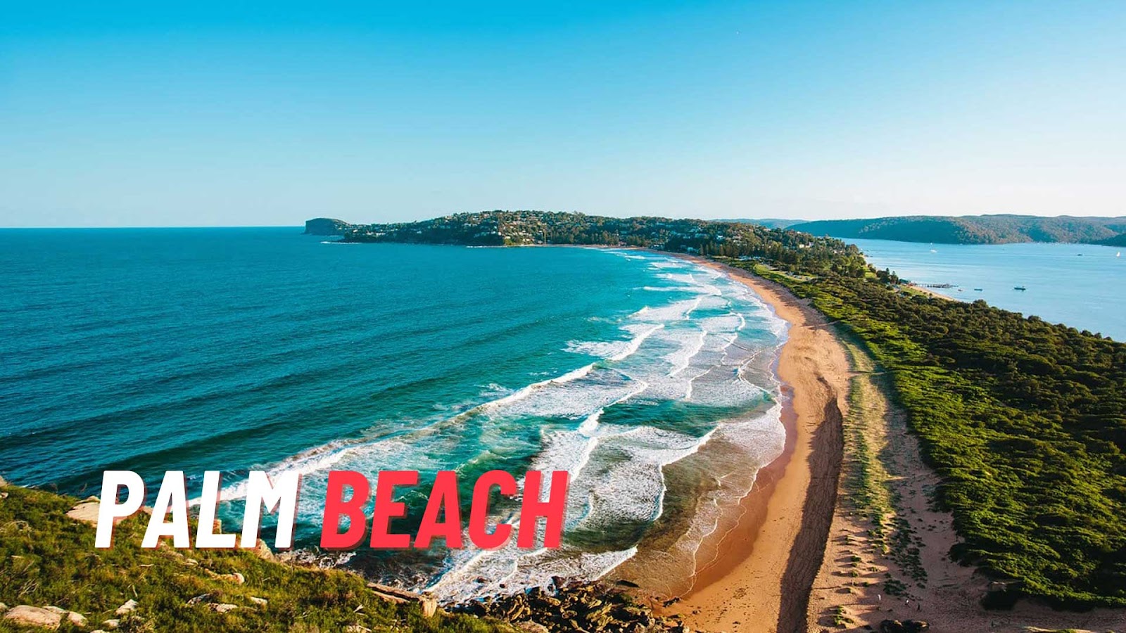 Palm Beach is The Best Beach To Collect Shells In Sydney