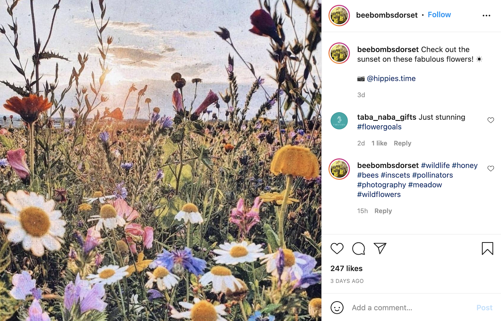User-generated content for Instagram strategy