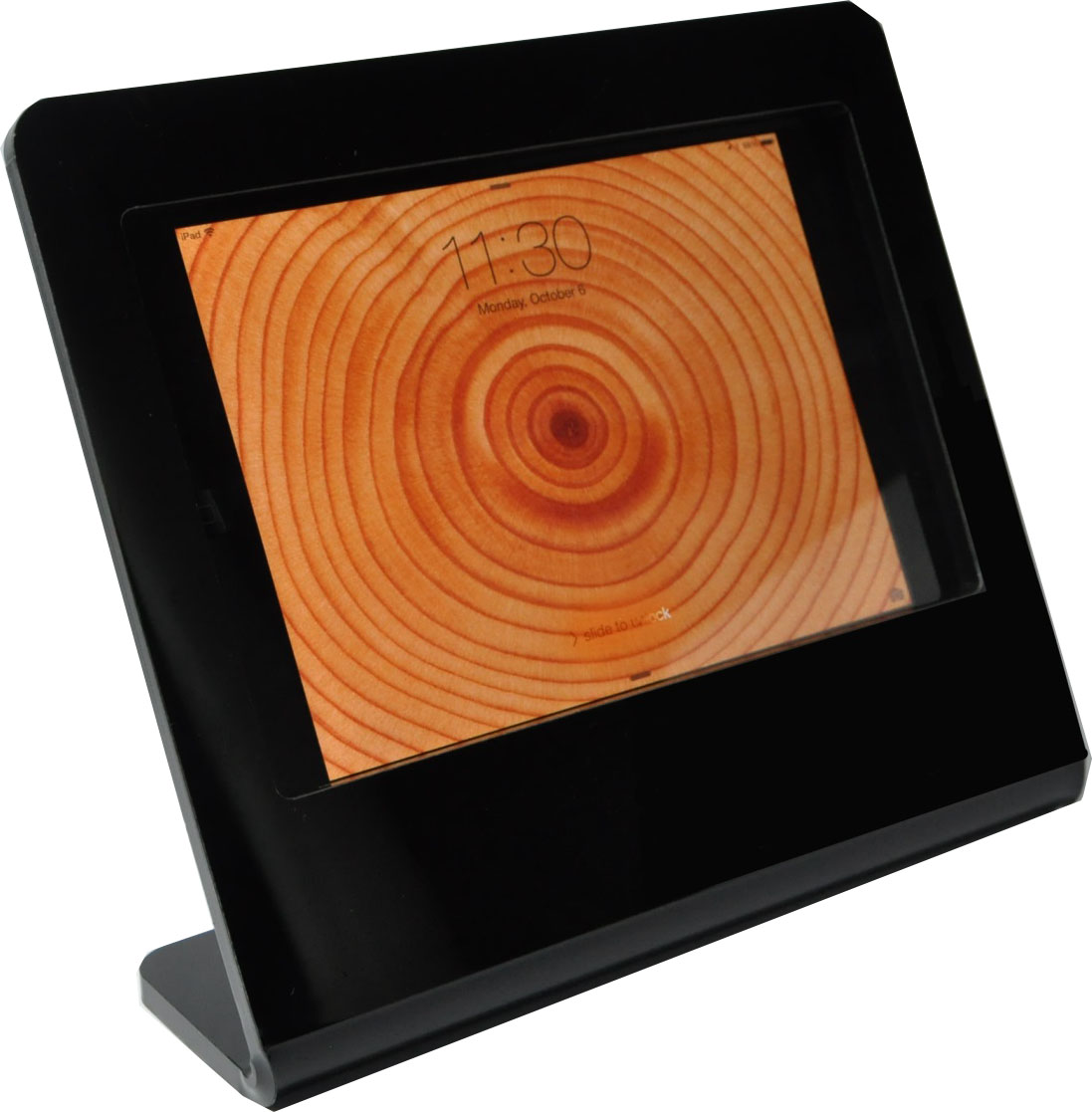 ipadmini_ez_1.jpg