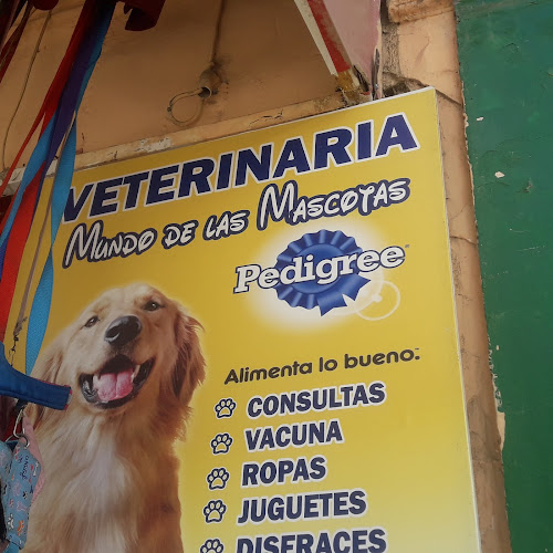 Mundo De Las Mascotas - Tienda