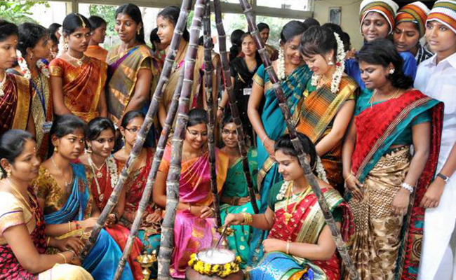 pongal festivals in south india