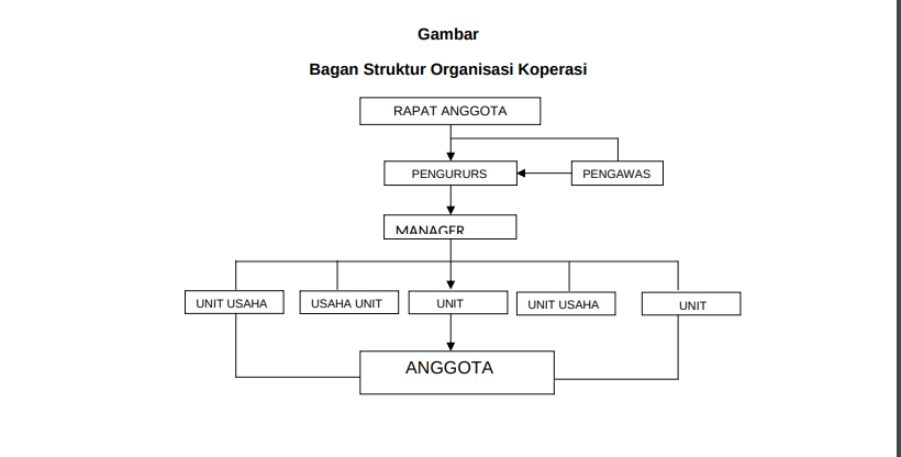 Struktur organisasi koperasi secara umum