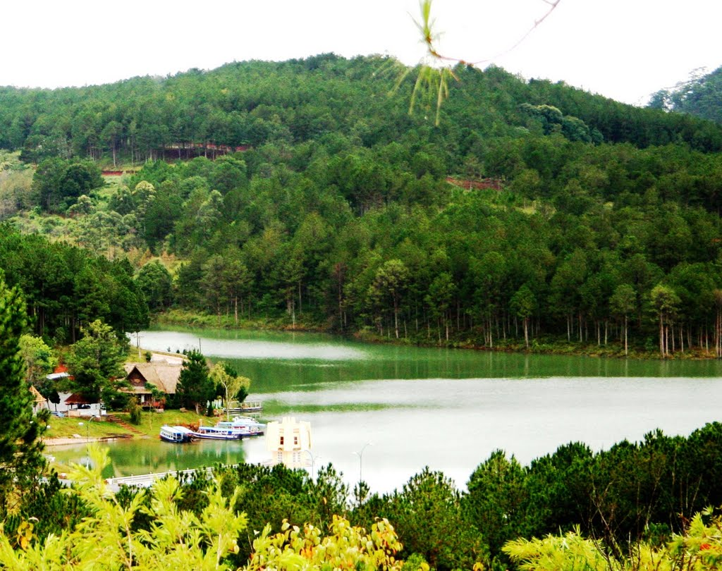 Núi Phượng Hoàng - địa điểm check in cảnh hoàng hôn Đà Lạt cực đẹp (Nguồn: Internet)