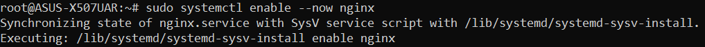 sudo systemctl enable --now nginx