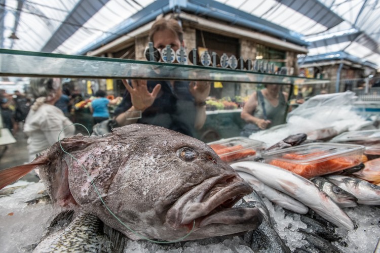 Close-up of fish on display at a market in Jerusalem