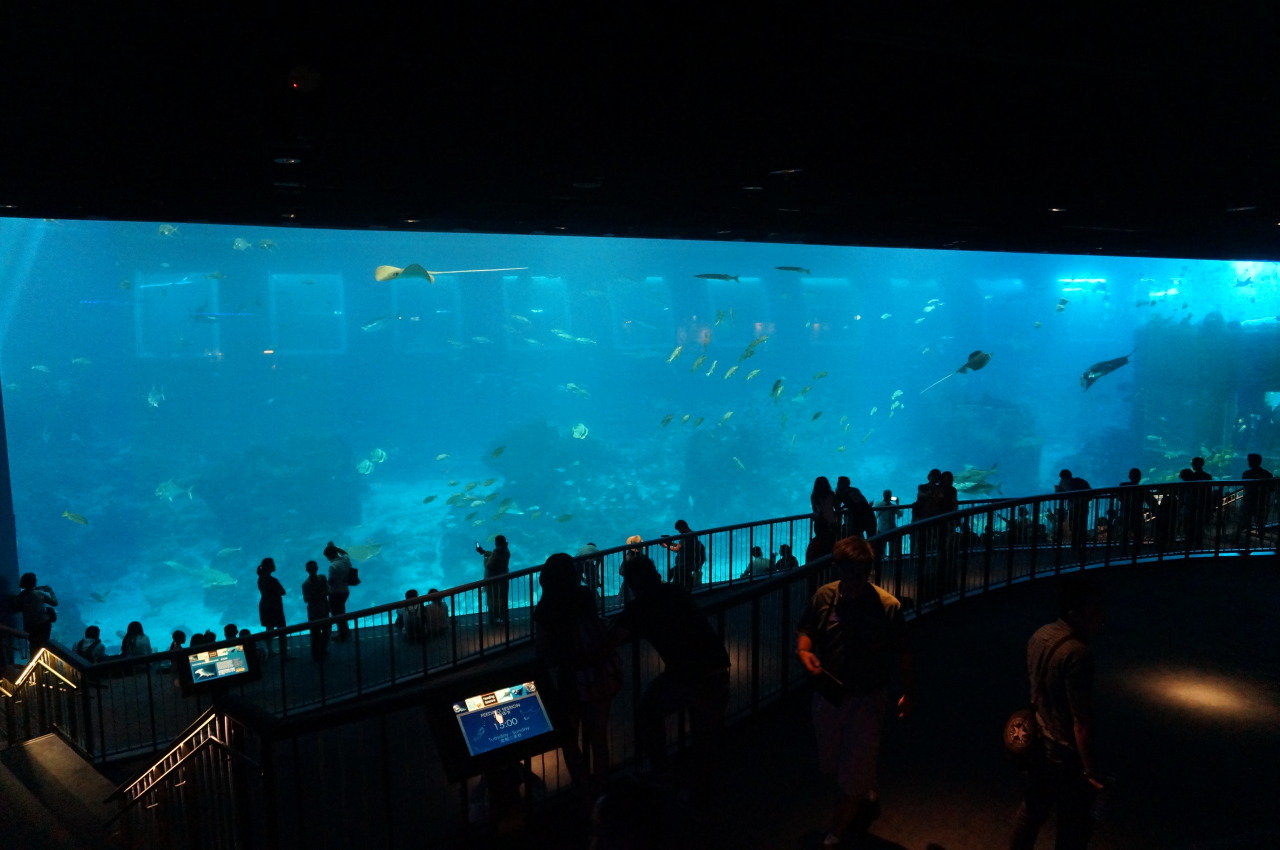 037790355-big.jpg