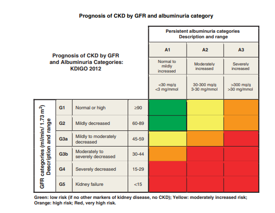 Poner la mesa Multa Saludo CKD-EPI Equations for Glomerular Filtration Rate (GFR) - MDCalc
