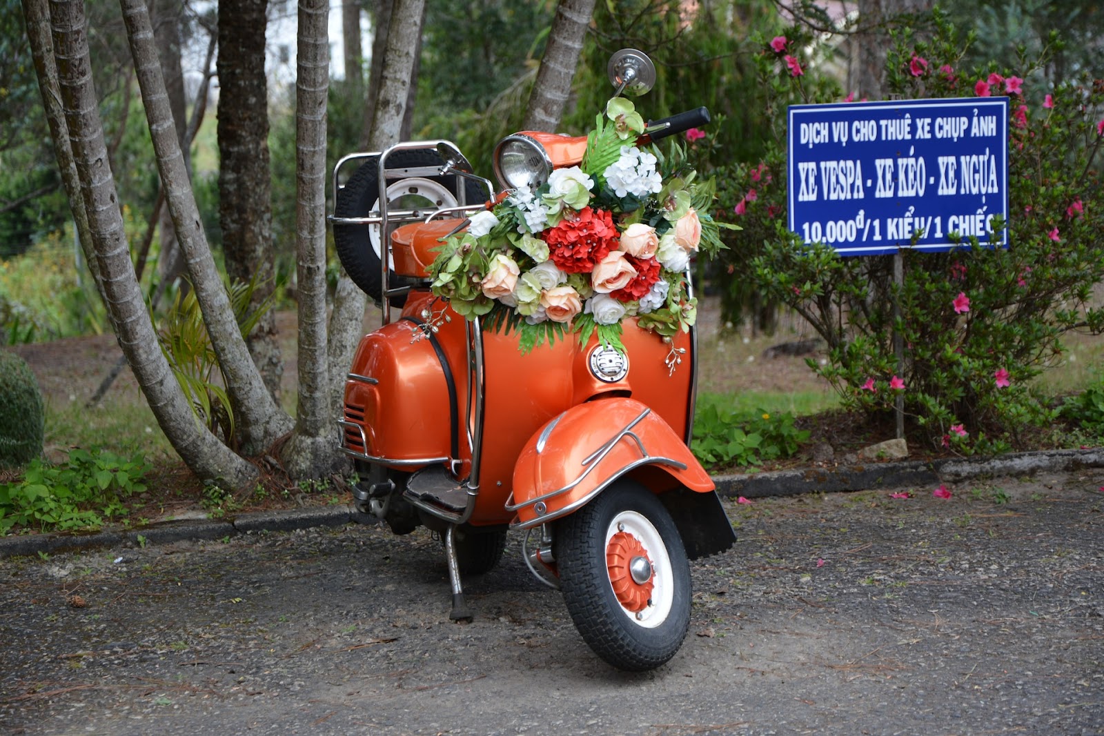 Scooter for weddings - Minstrel Court