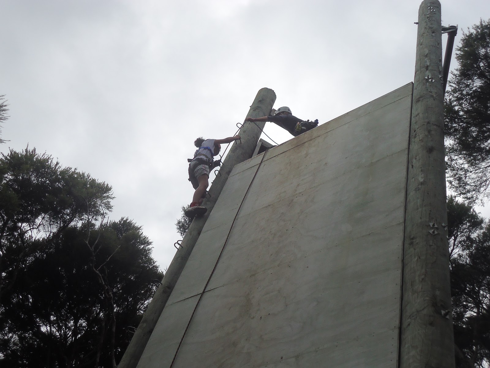 Image result for abseiling kawau island