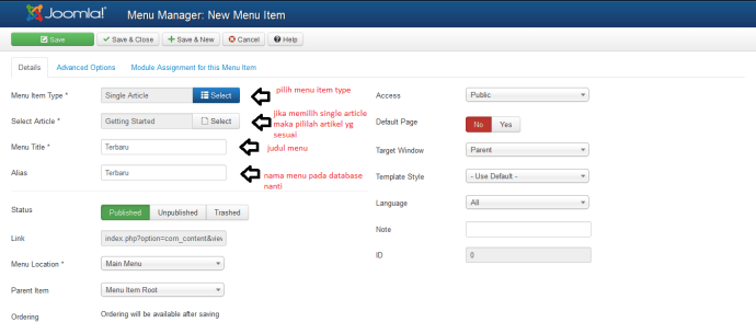 joomla13