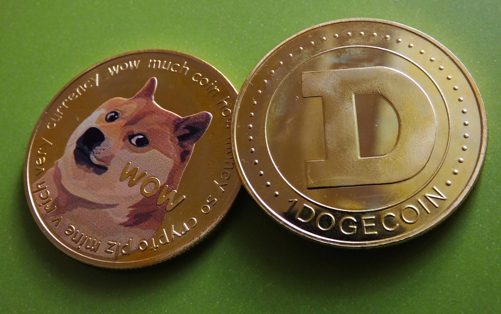 The Dogecoin asset minted as actual coins