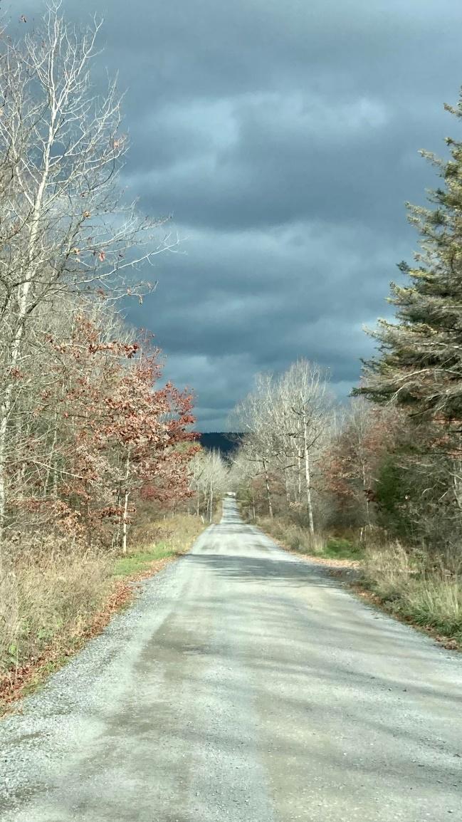 A road with trees on the side

Description automatically generated with medium confidence