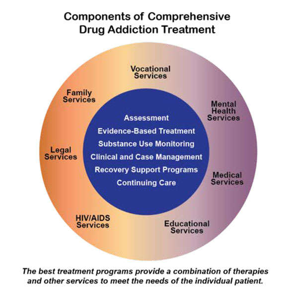 Chart detailing the components of drug addiction recovery