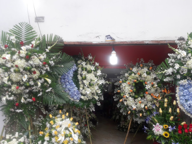 Opiniones de Floreria Oliveros en Lima - Floristería