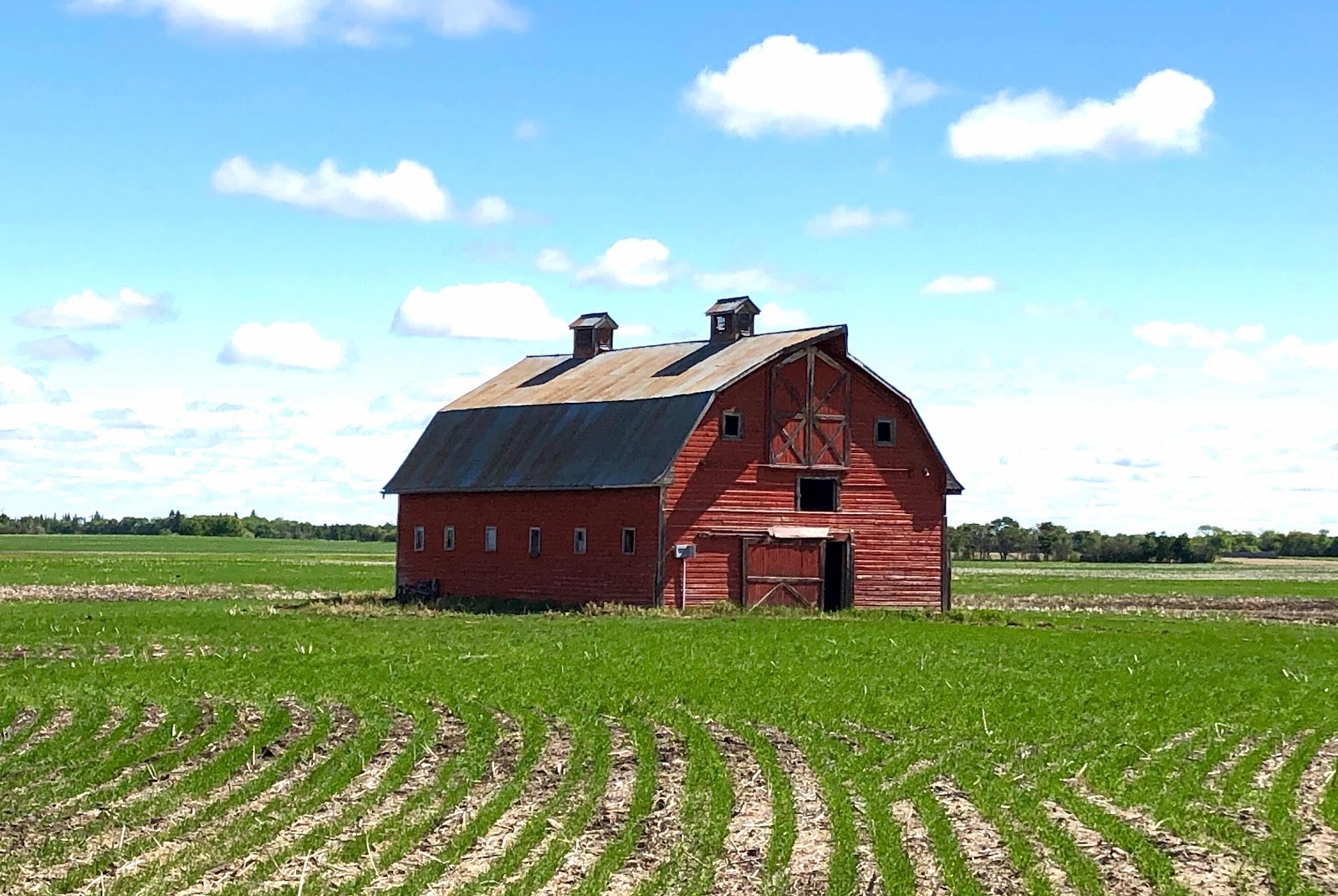 Abandon farms, Saskatchewan history, country living, old red barn, farm life