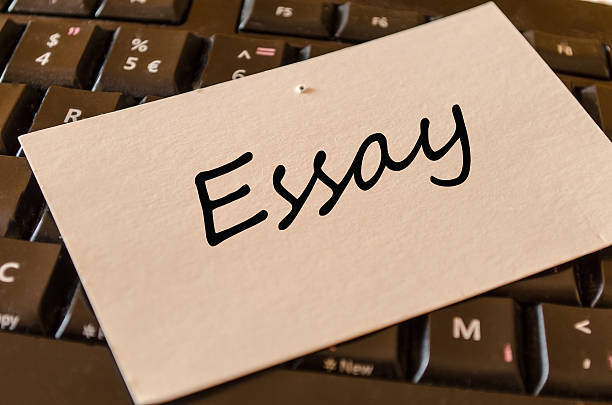 hire someone to write an essay, payment process, personal information, in text citations, plagiarism report, 