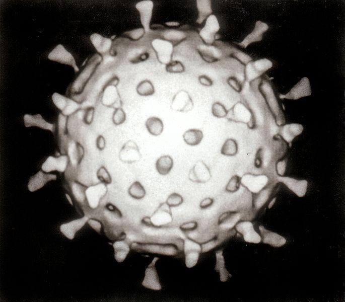 Tập tin:Rotavirus Reconstruction.jpg