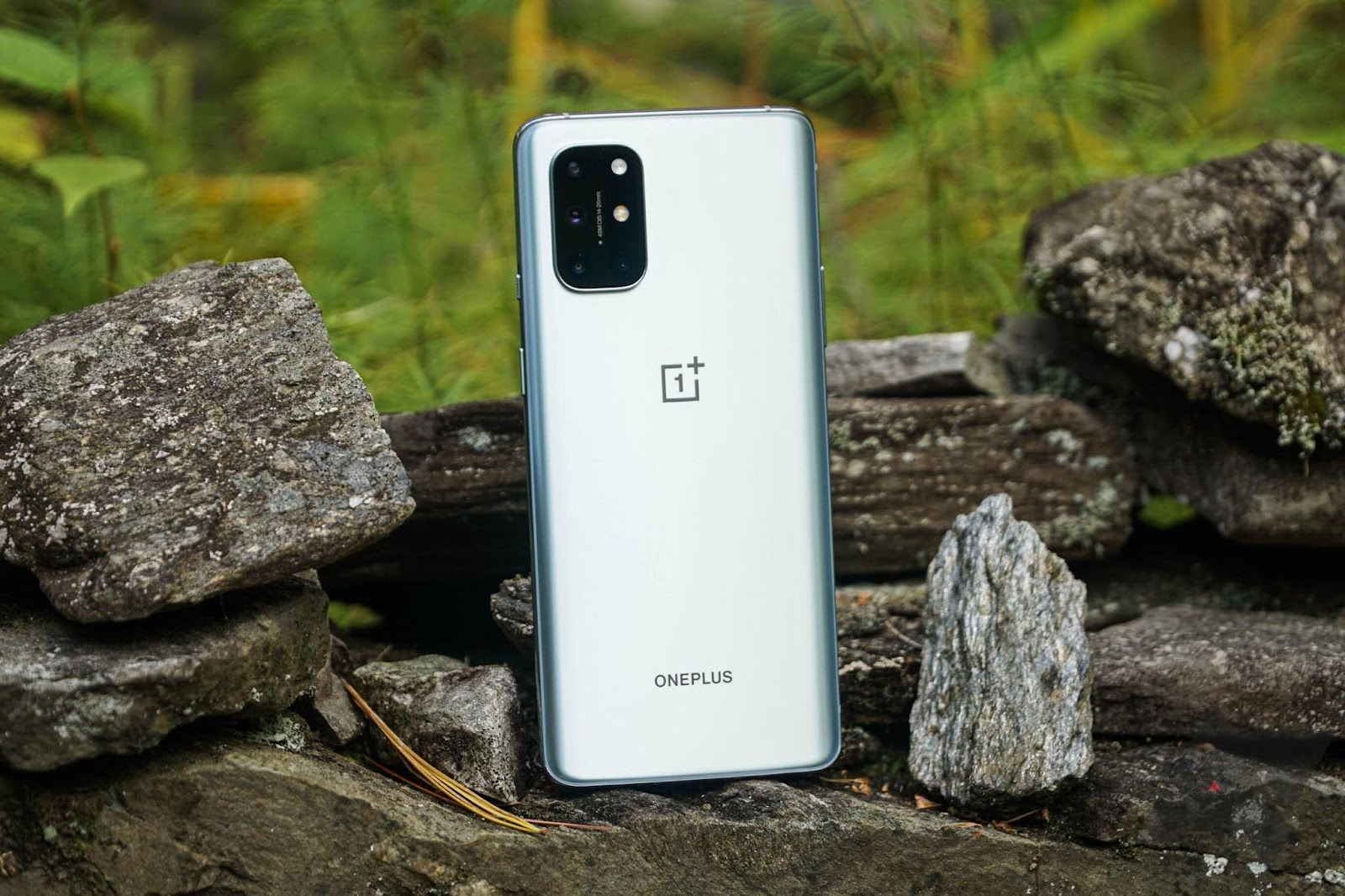This image shows the OnePlus 8T+ 5G.