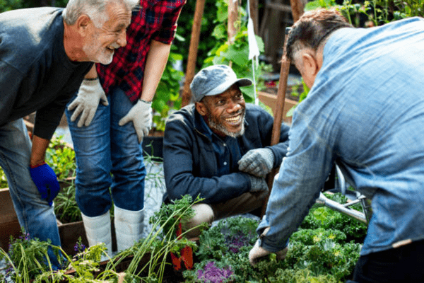 Together as a garden enhances our social bonds