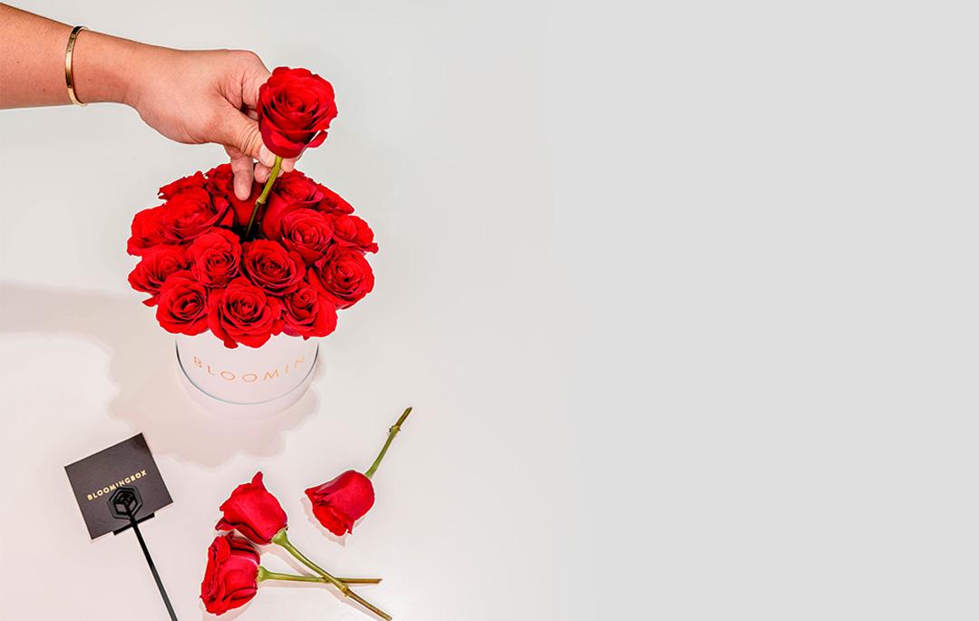 A hand holding a bouquet of red roses

Description automatically generated with medium confidence