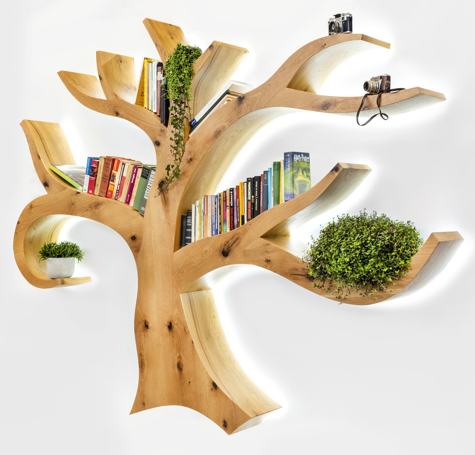 Különleges fali könyvespolcok - egyedi polc ötletek 2022-2023 - Minőségi  hajlított fa bútorok